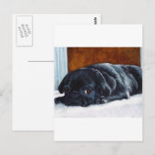 黒いパグパピー ポストカード (正面/裏面)