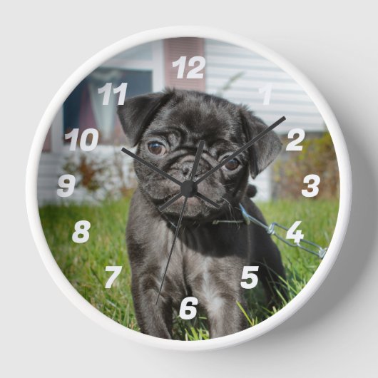 黒いパグパピー 壁時計 (正面)