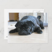 黒いパグフラット ポストカード (正面/裏面)