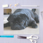 黒いパグフラット 薄葉紙 (クラフト)