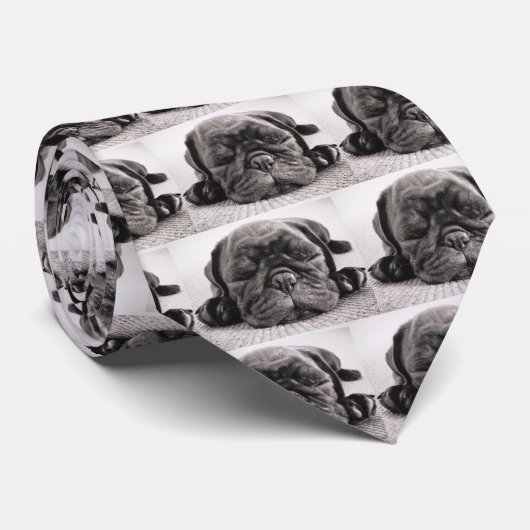 黒いパグ ネクタイ (ロール)