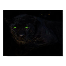 黒いヒョウのポスター