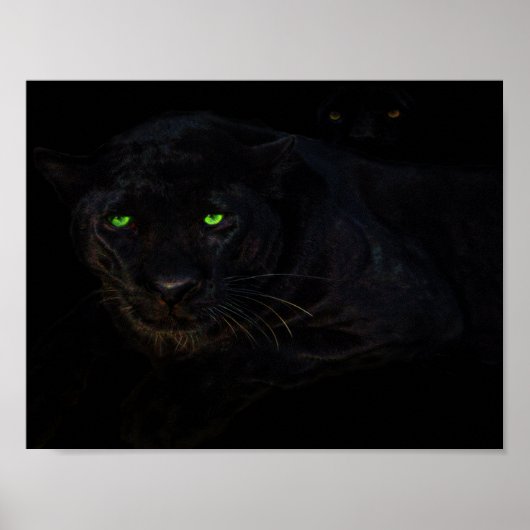 黒いヒョウのポスター ポスター (正面)