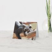 黒いヒョウ カード (正面)