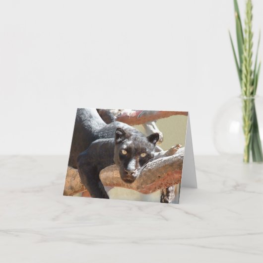 黒いヒョウ カード (正面)