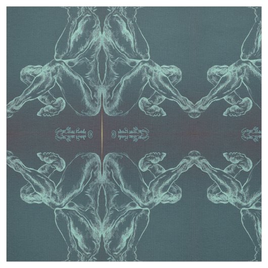 黒いビセ ファブリック (見本)