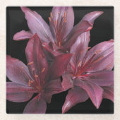 黒いフローラに濃い赤アジアのユリ ガラスコースター (正面)