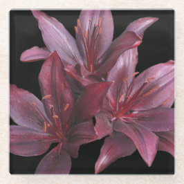 黒いフローラに濃い赤アジアのユリ ガラスコースター
