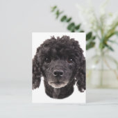 黒いプードルポートレート ポストカード (スタンド正面)