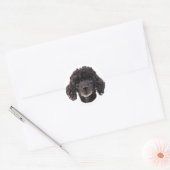 黒いプードルポートレート ラウンドシール (封筒)
