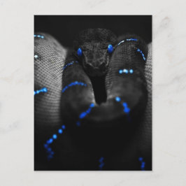 黒いヘビ ポストカード