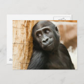 黒いベビー猿 ポストカード (正面/裏面)