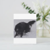 黒いベルギーの雪の羊飼い ポストカード (スタンド正面)