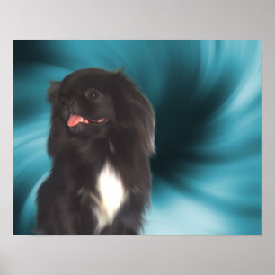 黒いペキンゲズブルーの渦巻き犬芸術 ポスター