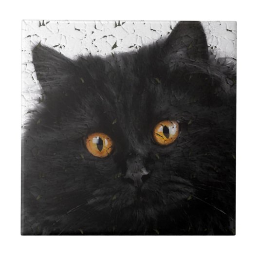 黒いペルシャ猫の顔 タイル (正面)