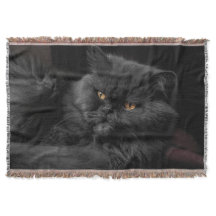 黒いペルシャ猫