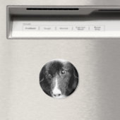 黒いボーダーコリーの動物の芸術の磁石 マグネット (インサイチュ (食洗機))