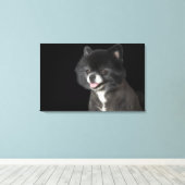 黒いポメラニア犬が離れ キャンバスプリント (インサイチュ (ウッドフロア))