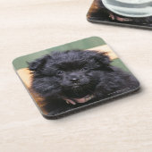 黒いポメラニア犬の子犬 コースター (左側)