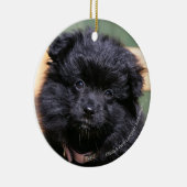 黒いポメラニア犬の子犬 セラミックオーナメント (右)