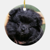 黒いポメラニア犬の子犬 セラミックオーナメント (裏面)