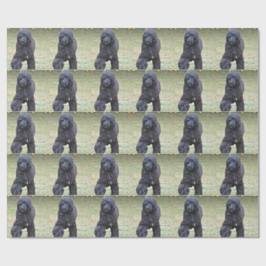黒いポルトガル水犬 ラッピングペーパー (フラット)