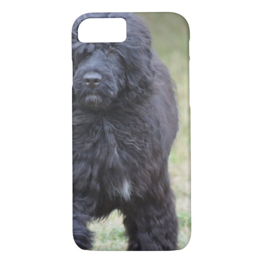 黒いポルトガル水犬 Case-Mate iPhoneケース (裏面)