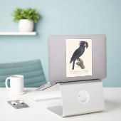 黒いマカオ / ヤシガラス シール (デスク上のノートパソコン)