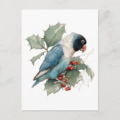 黒いマスクされたラバーバードのスケッチ ポストカード (正面)