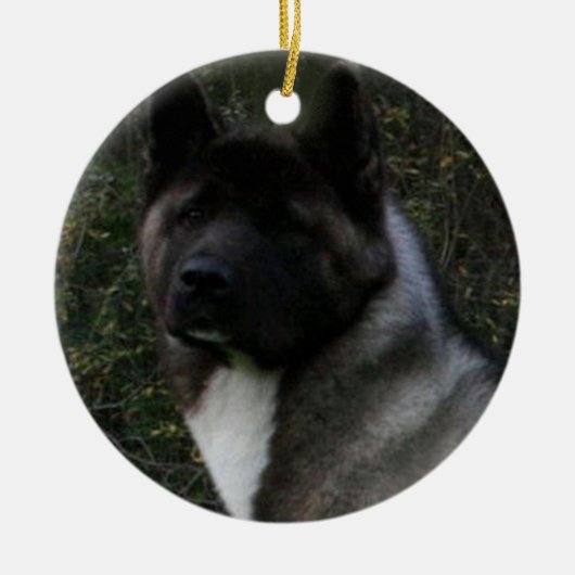 黒いマスクの秋田犬 ピント セラミックオーナメント (正面)