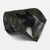 黒いマスクの秋田犬 ピント ネクタイ (ロール)