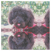 黒いミニチュアプードル ファブリック (クローズアップ)