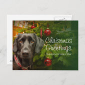 黒いメスラブラドールレトリバー シーズンポストカード (正面/裏面)