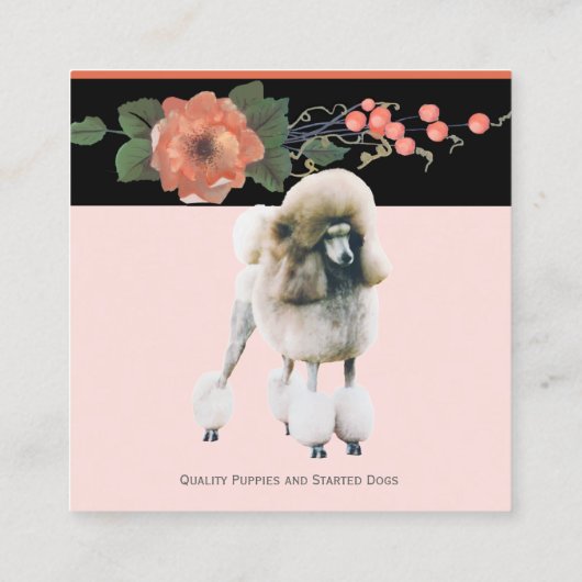 黒いメロンの花柄のプードル スクエア名刺 (裏面)