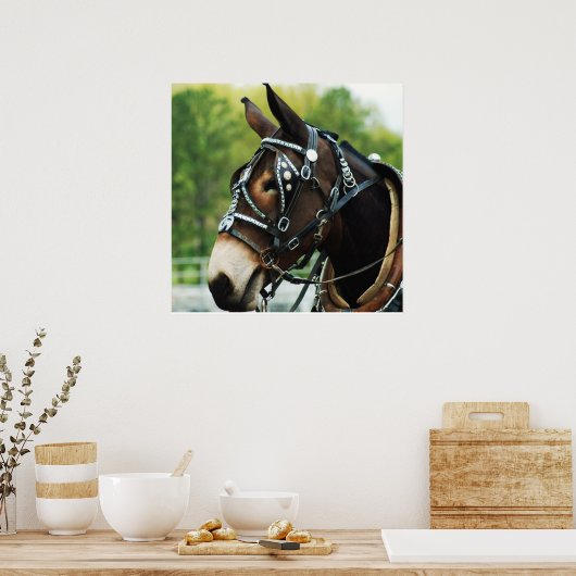 黒いラバ ポスター (キッチン)