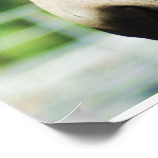 黒いラバ ポスター (角)