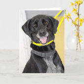 黒いラブラドル・レトリーバー犬の組合せの挨拶またはメッセージカード カード (黄色い花)