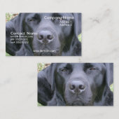 黒いラブラドル・レトリーバー犬犬の名刺 名刺 (正面/裏面)