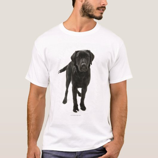 黒いラブラドル・レトリーバー犬 Tシャツ (正面)