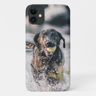黒いラブラドールが水に入る iPhone 11 ケース