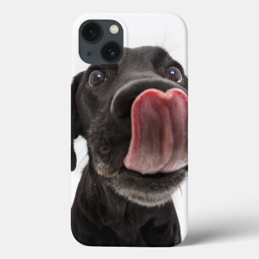 黒いラブラドールが鼻をなめる Case-Mate iPhoneケース (裏面)