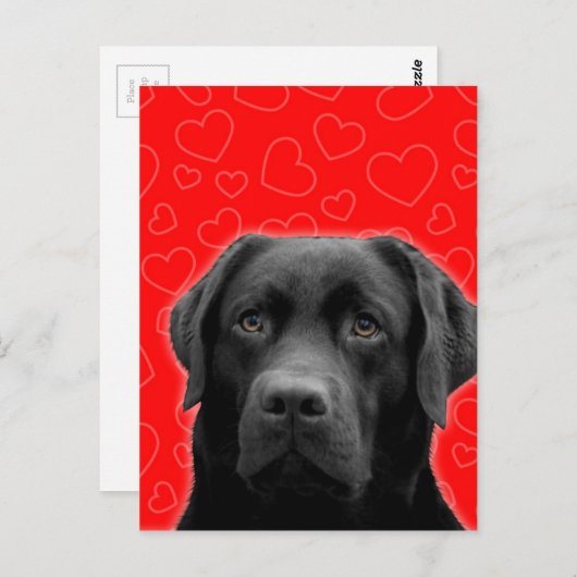 黒いラブラドールと赤いハート ポストカード (正面/裏面)
