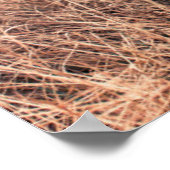 黒いラブラドールをドライグラスに ポスター (角)