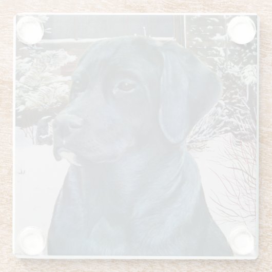 黒いラブラドール犬の生き生きとしたポートレート写真 ガラスコースター (裏面)