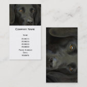 黒いラブラドール犬 名刺 (正面/裏面)