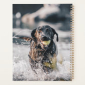 黒いラブラドール遊が水に浮かぶ プランナー手帳 (裏面)