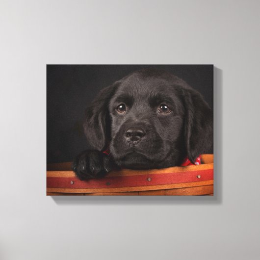 黒いラブラドール・レトリバーの子犬かご キャンバスプリント (正面)