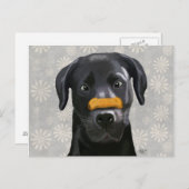 黒いラブラドール(鼻にボーンを付ける) 2 ポストカード (正面/裏面)
