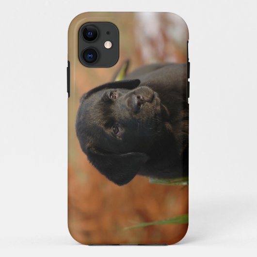 黒いラボの子犬 Case-Mate iPhoneケース (裏面)