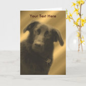 黒いラボミックスのかわいい犬 カード (黄色い花)